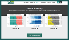 Death Data Visualizations