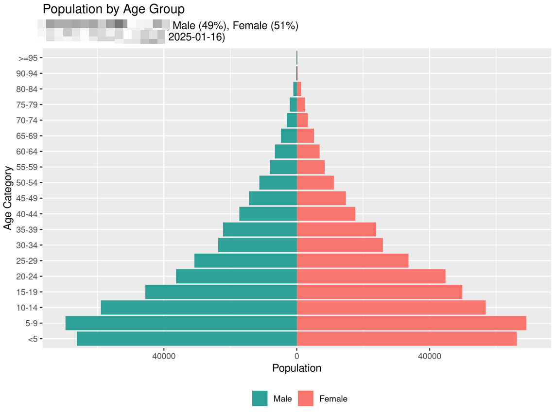Population pyramid